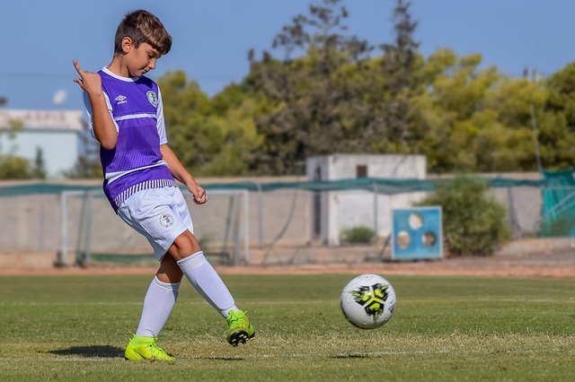 帕拉迪诺 帕拉迪诺