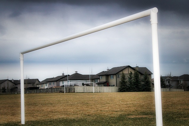 大马丁的评 大马丁的评