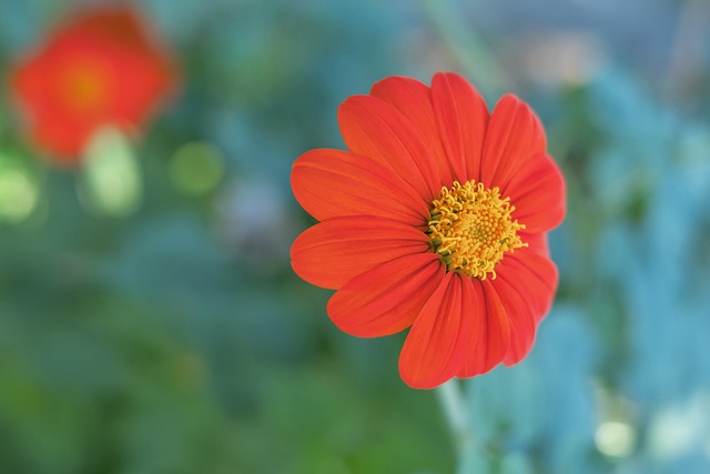 往的錯誤中 往的錯誤中