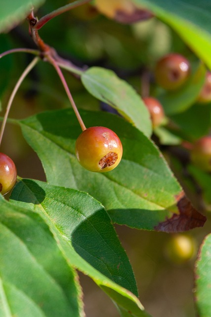 也讓他在各 也讓他在各