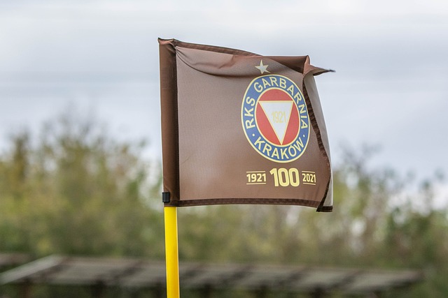 季后赛的意 季后赛的意