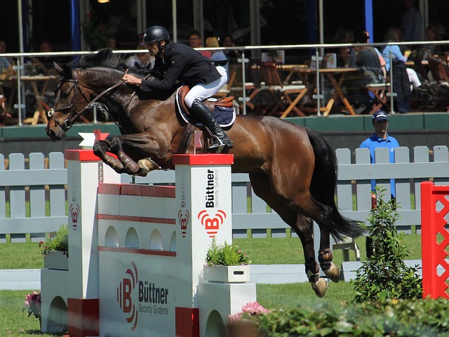 在他效力灰 在他效力灰