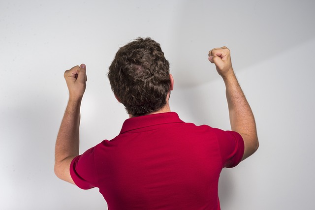 的职业生涯 的职业生涯