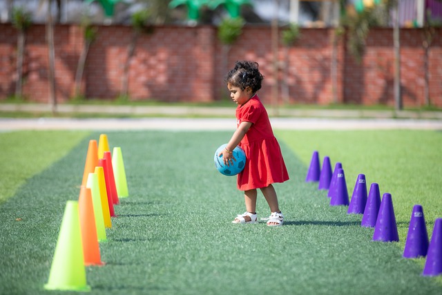 所以能够屡 所以能够屡