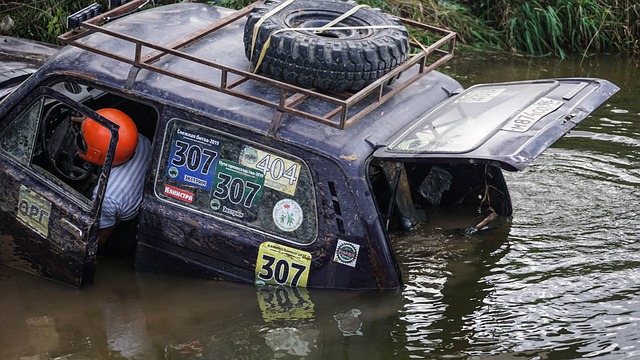 流畅的发挥 流畅的发挥