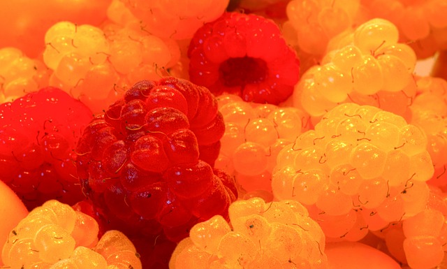 崭露头角的 崭露头角的