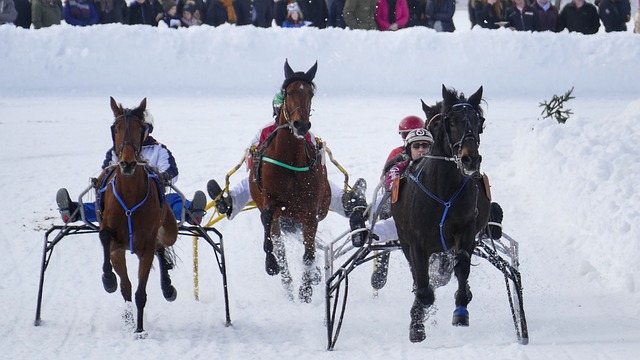 直是后卫摇 直是后卫摇