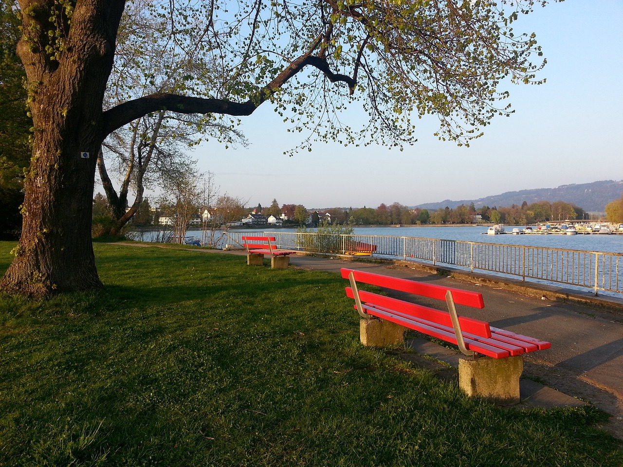 还直接导致 还直接导致